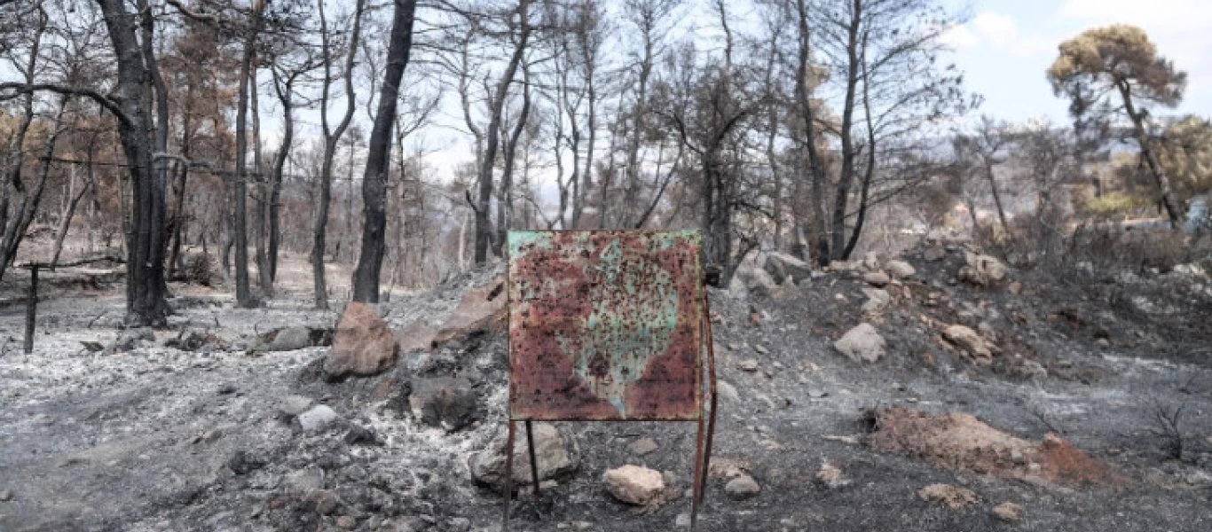 Eύβοια: Χαρτογραφήθηκε η περιοχή που κάηκε - Tρομακτικών διαστάσεων η οικολογική καταστροφή (φωτο)